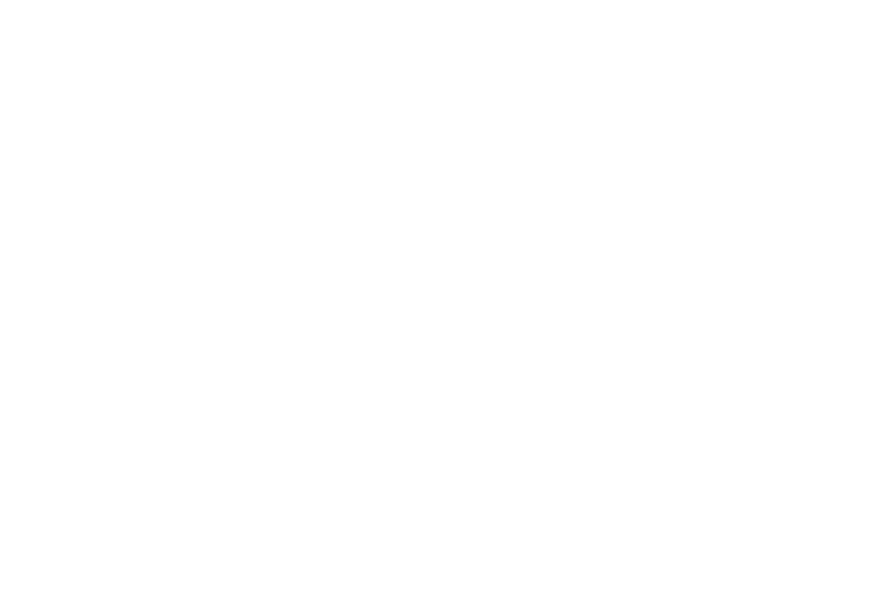 OFFICIAL SELECTION - Egyptian American Film Festival - 2025 (2)